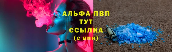прущие грибы Богородск