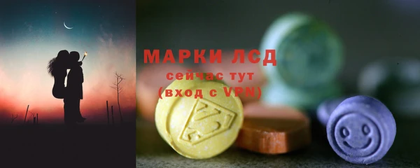 прущие грибы Богородск
