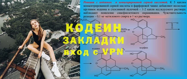 прущие грибы Богородск