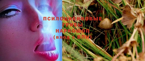 ПСИЛОЦИБИНОВЫЕ ГРИБЫ Тихорецк